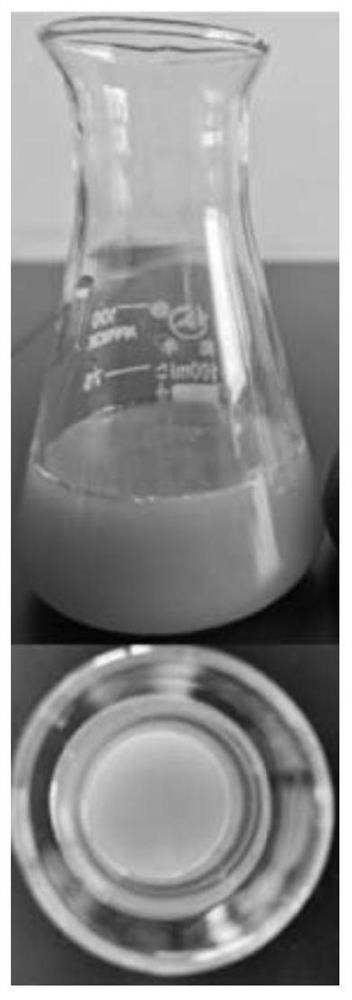 Compound preparation containing clostridium butyricum and pediococcus acidilactici as well as preparation method and application of compound preparation