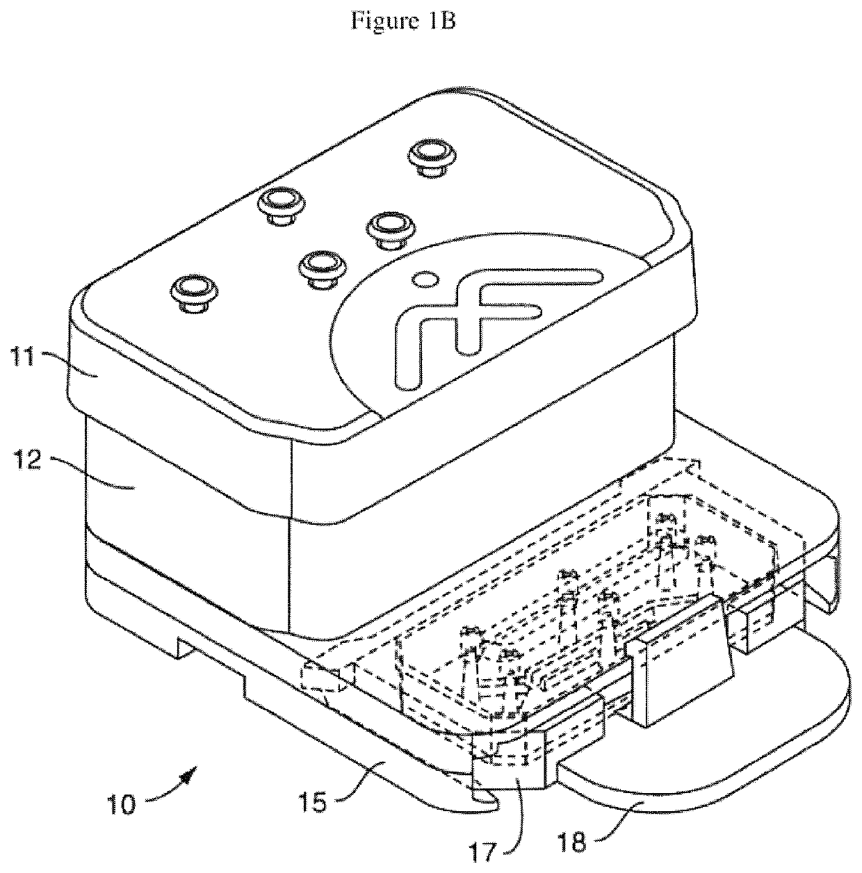 Physiology and pathophysiology of human gut: intestine-on-chip