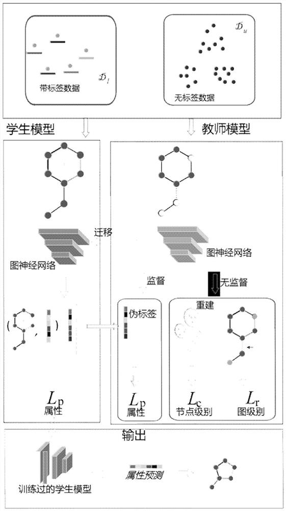 Molecular attribute determination method and device, electronic equipment and storage medium