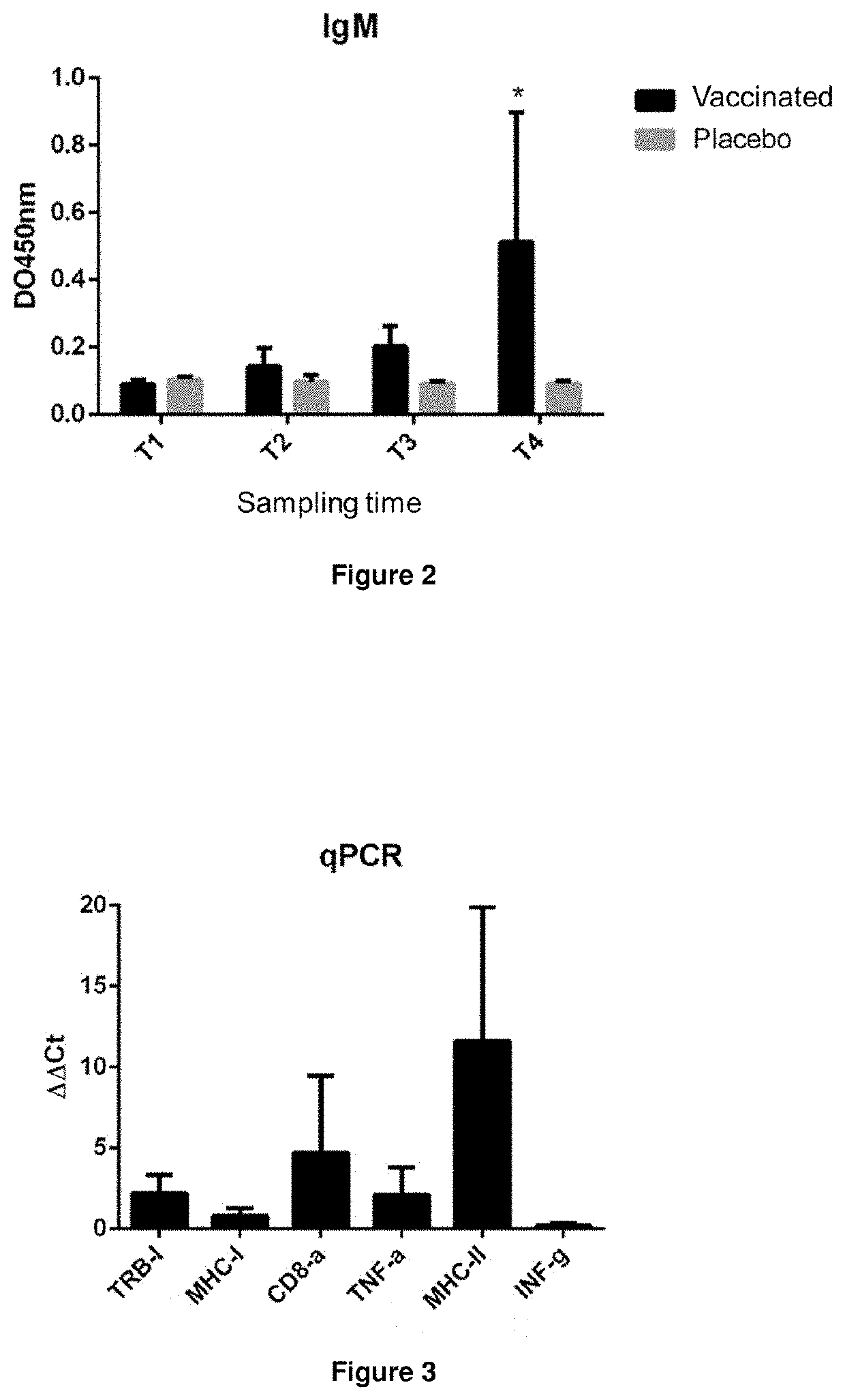 Formulation of fish vaccine based on lipidic nanovesicles, in particular, a proteoliposome or cochleate, with activity against the salmonid rickettsial syndrome (SRS)