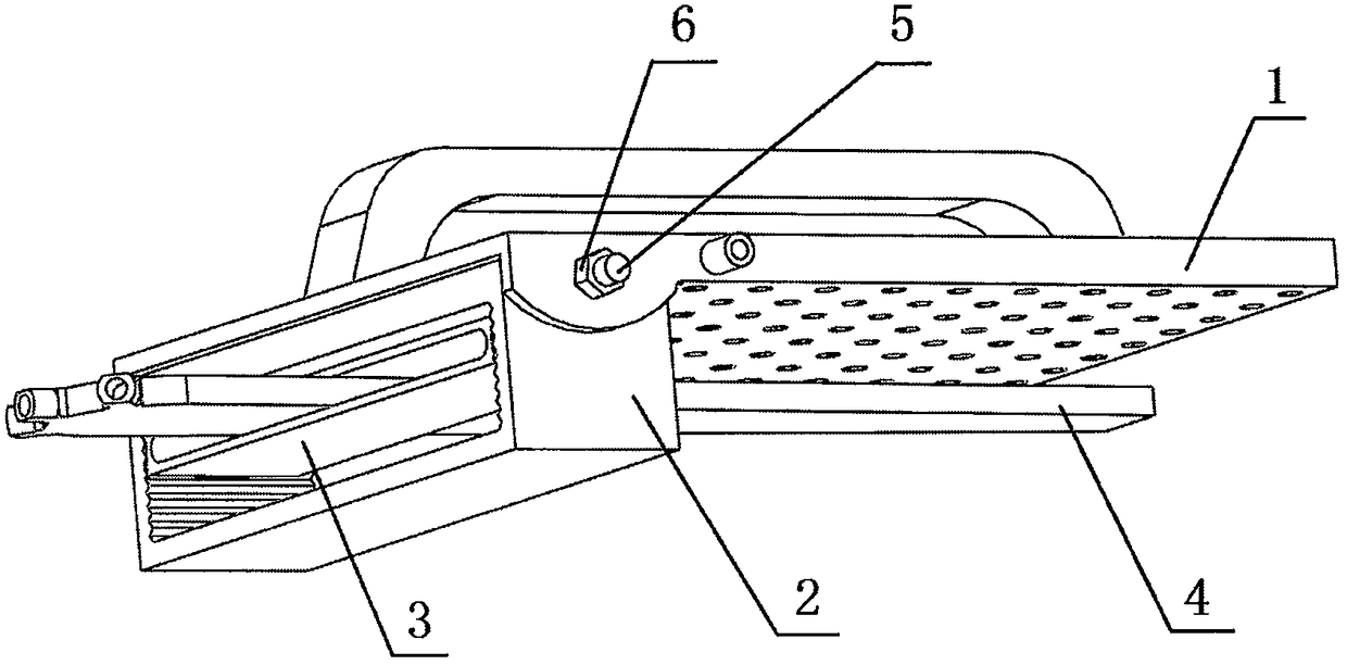 Breast cancer flap dissection apparatus capable of fixing skin