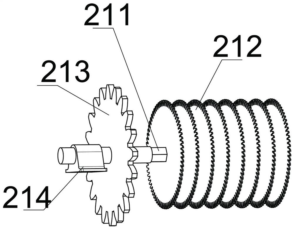 Peanut tail picking and sorting machine