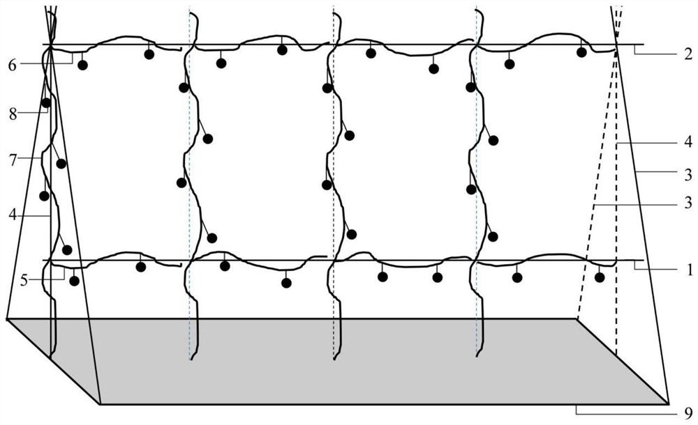 A tomato "f" shape pruning method