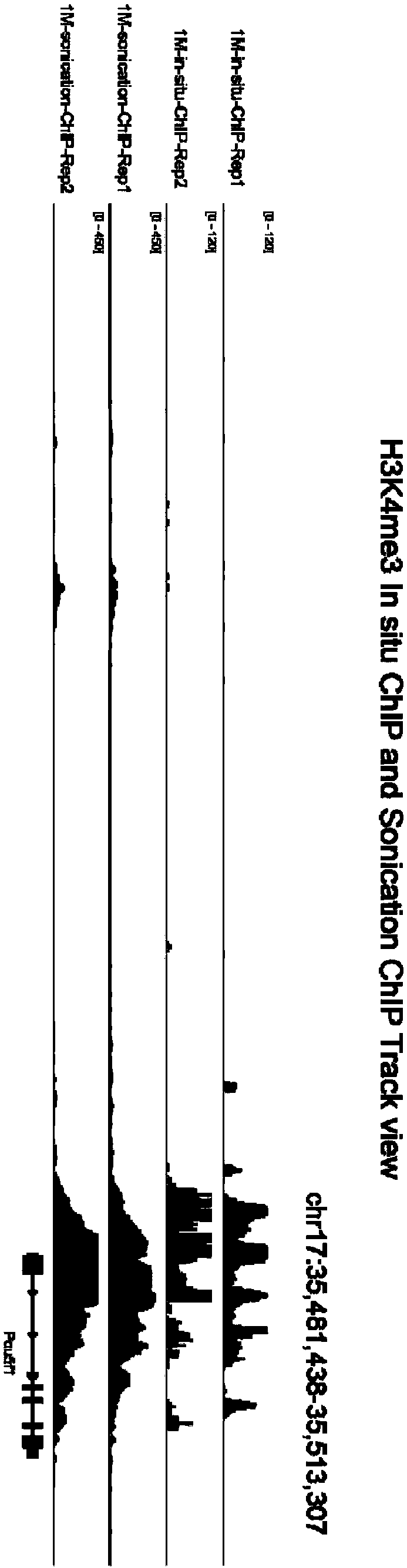 Fusion protein, kit and CHIP-seq detection method