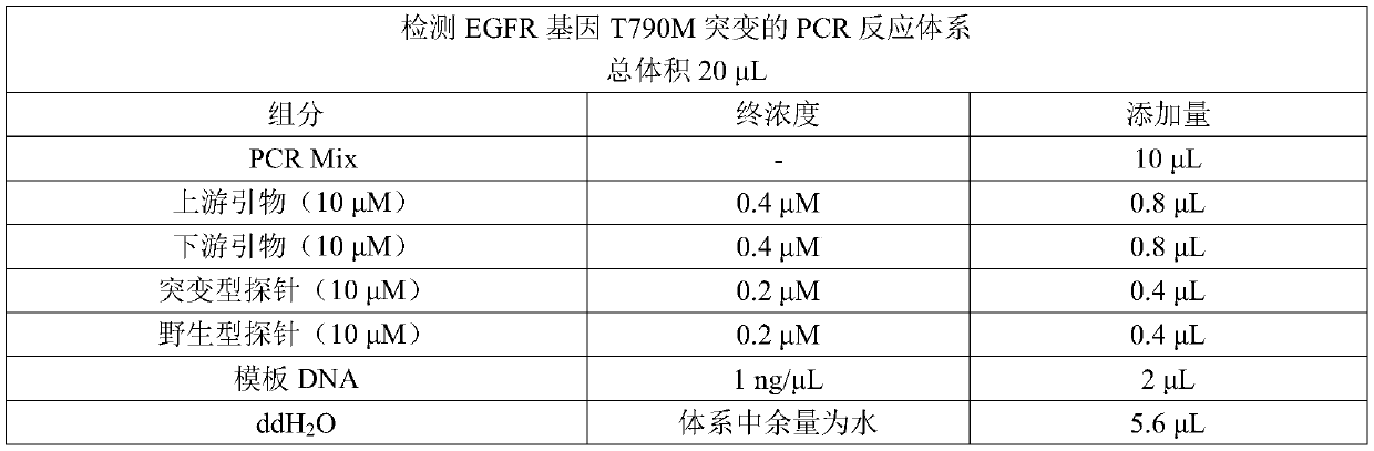 Kit and method for detection of mutation of T790M site of EGFR genes