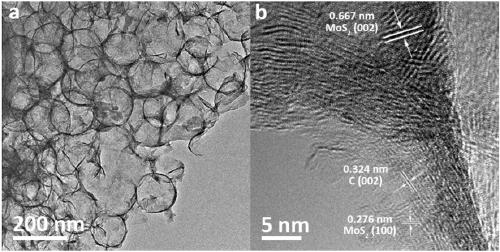 Preparation method of heteroatom doped porous molybdenum disulfide coated graphene