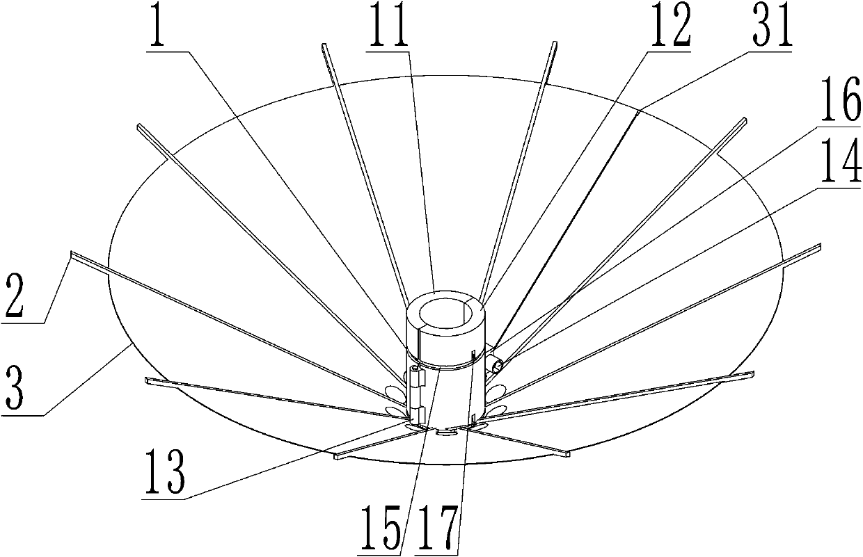 Natural collection device for navel orange petals