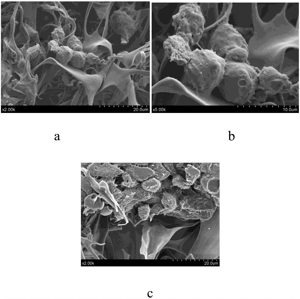 Three-dimensional scaffold applied to cell culture and preparation method thereof