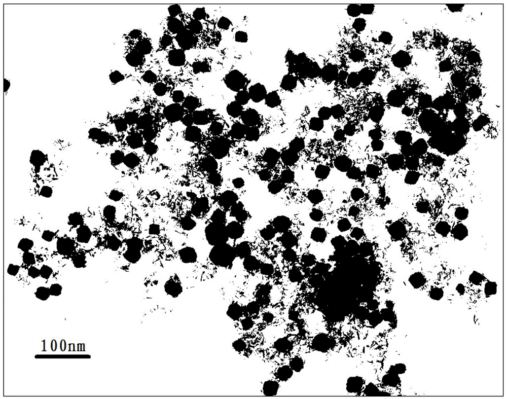 Preparation method for modified palladium-carbon catalyst for Suzuki coupling reaction