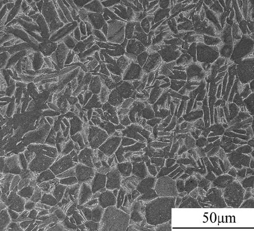 Step-by-step hot isostatic pressing preparation method of high-performance powder metallurgy titanium alloy