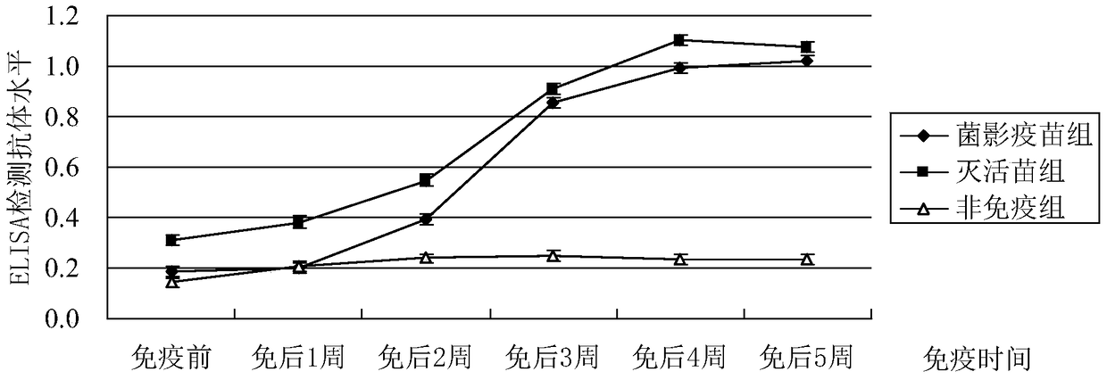 A kind of method for preparing Riemerella anatipestifer pre-ghost vaccine