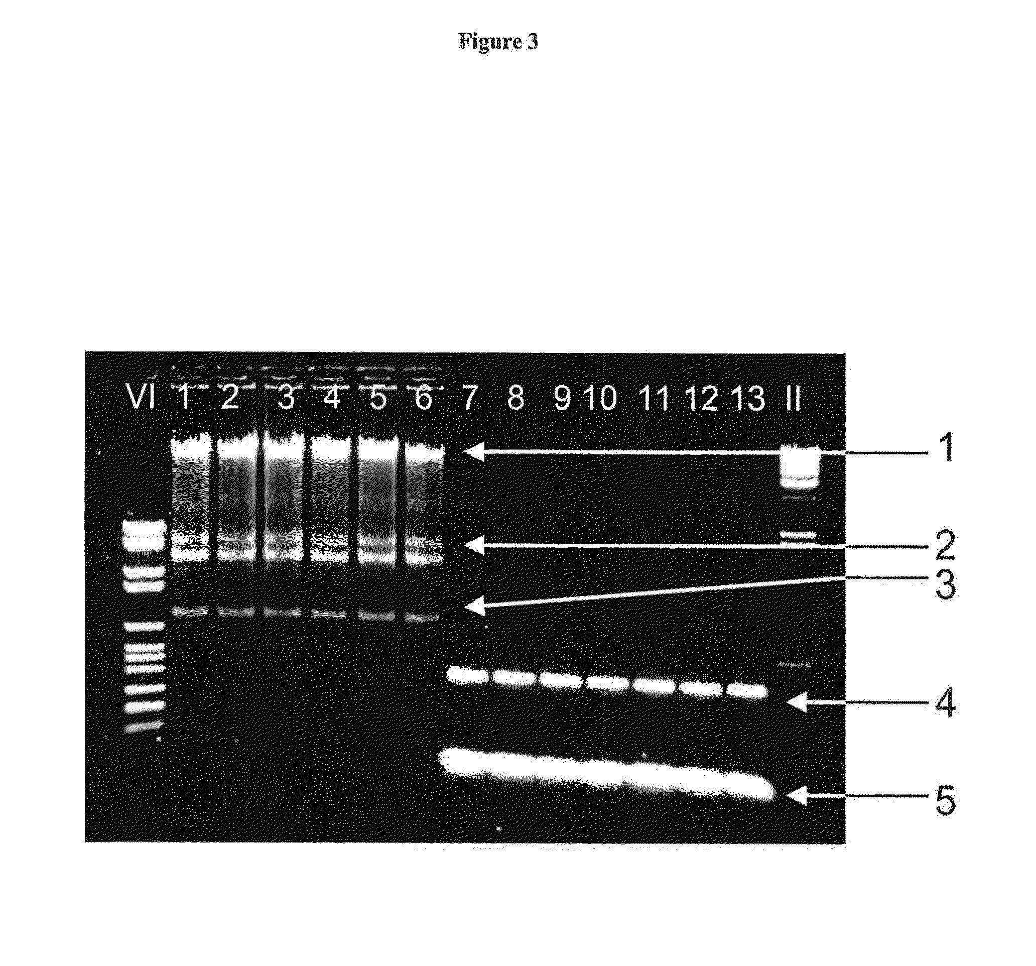 Use of tde for isolation of nucleic acids