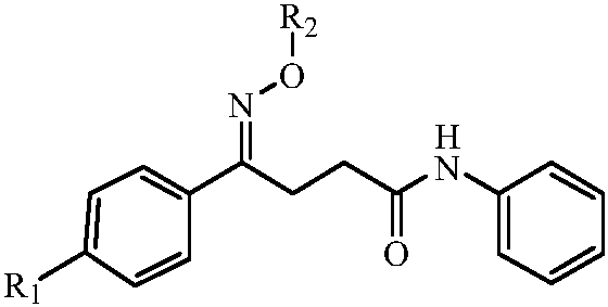 N-phenyl-4-phenylbutyramide oxime and its derivatives with anti-hepatitis B virus activity