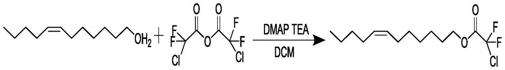 Sex pheromone composition for preventing and treating Melicleptria scutosa