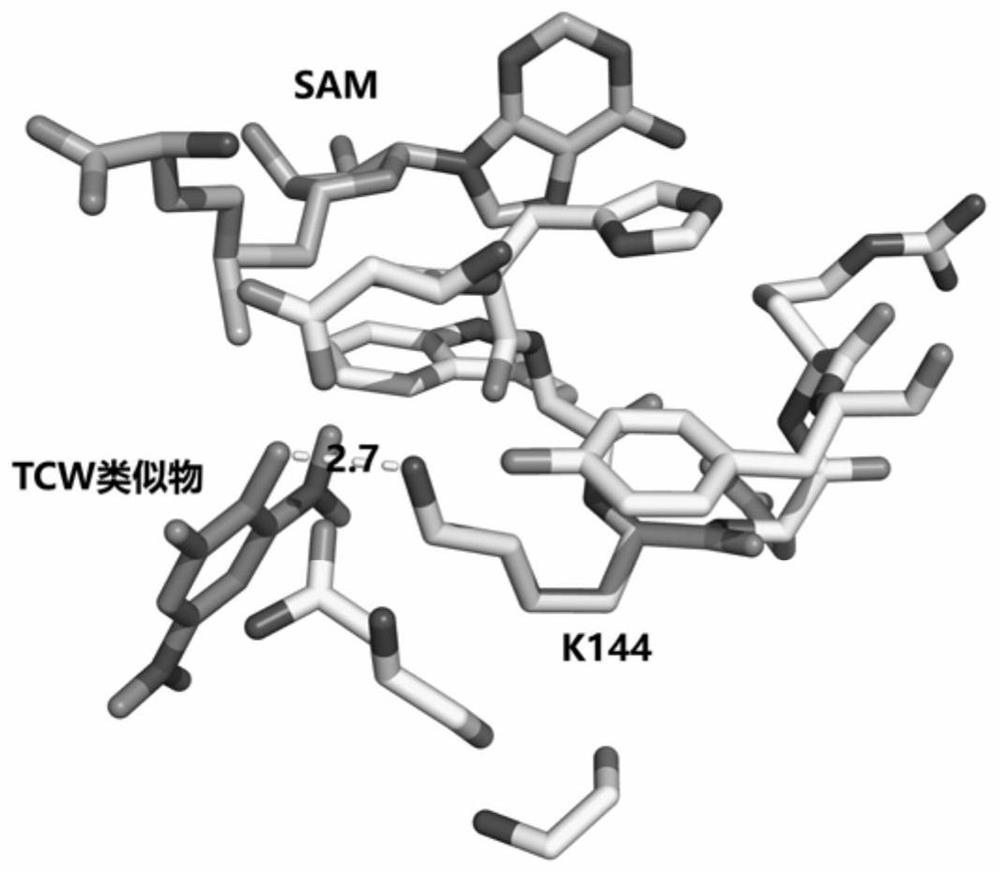 A Mass Spectrometry Method for the Interaction of Active Proteins and Small Molecules