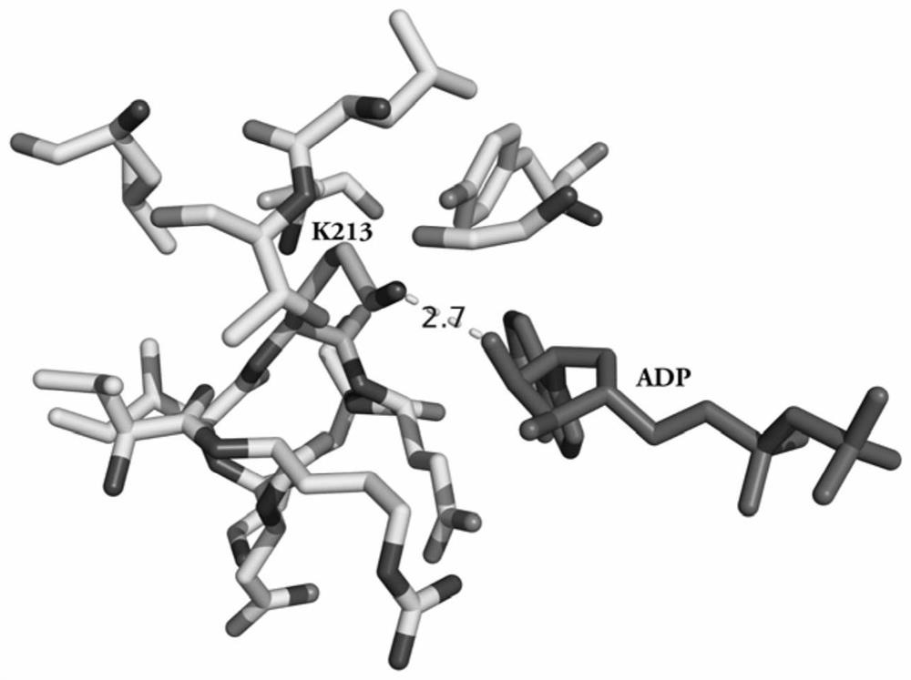 A Mass Spectrometry Method for the Interaction of Active Proteins and Small Molecules