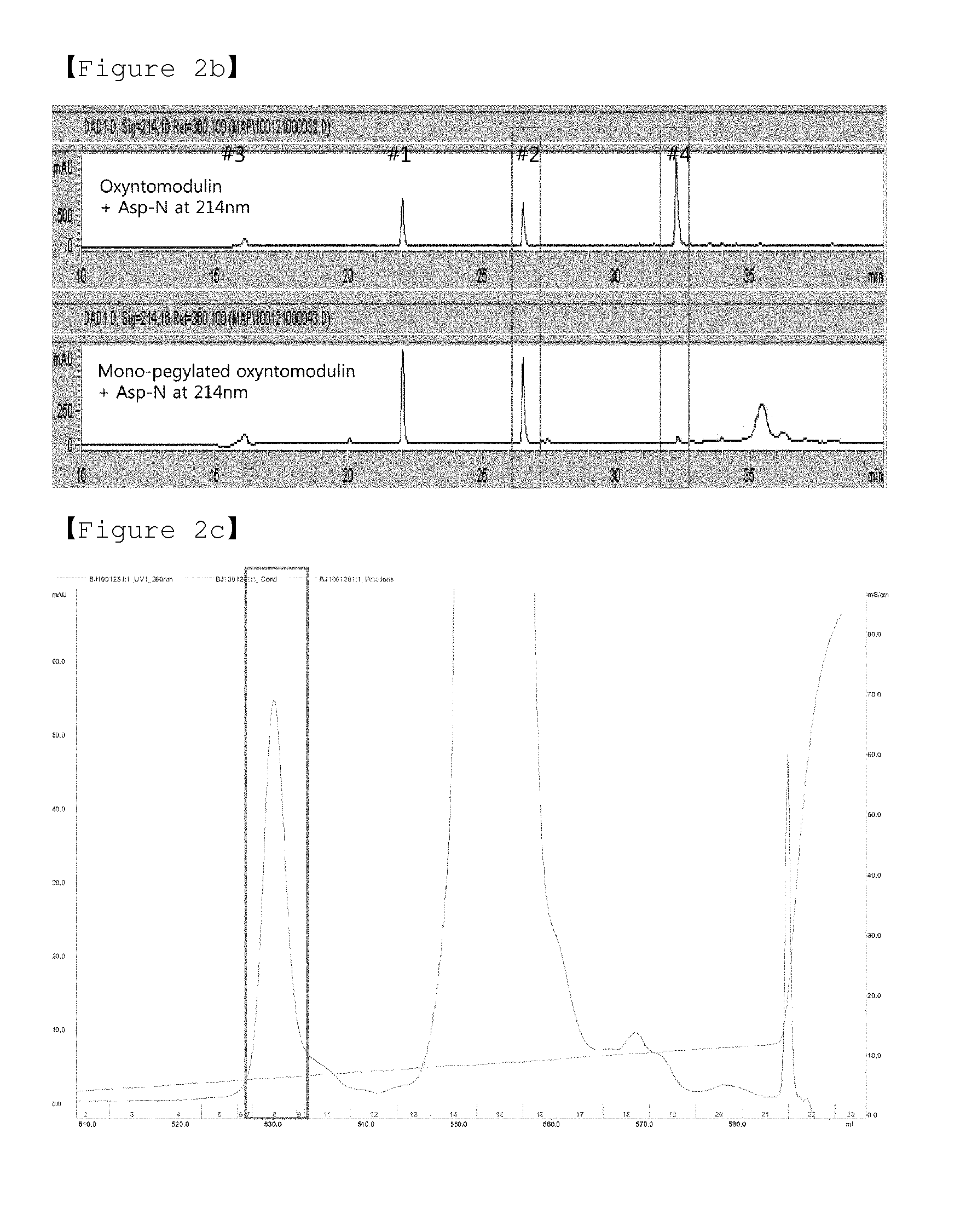 Conjugate comprising oxyntomodulin and an immunoglobulin fragment, and use thereof