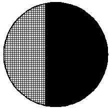 A biofilm denitrification reactor and a method for fast film formation