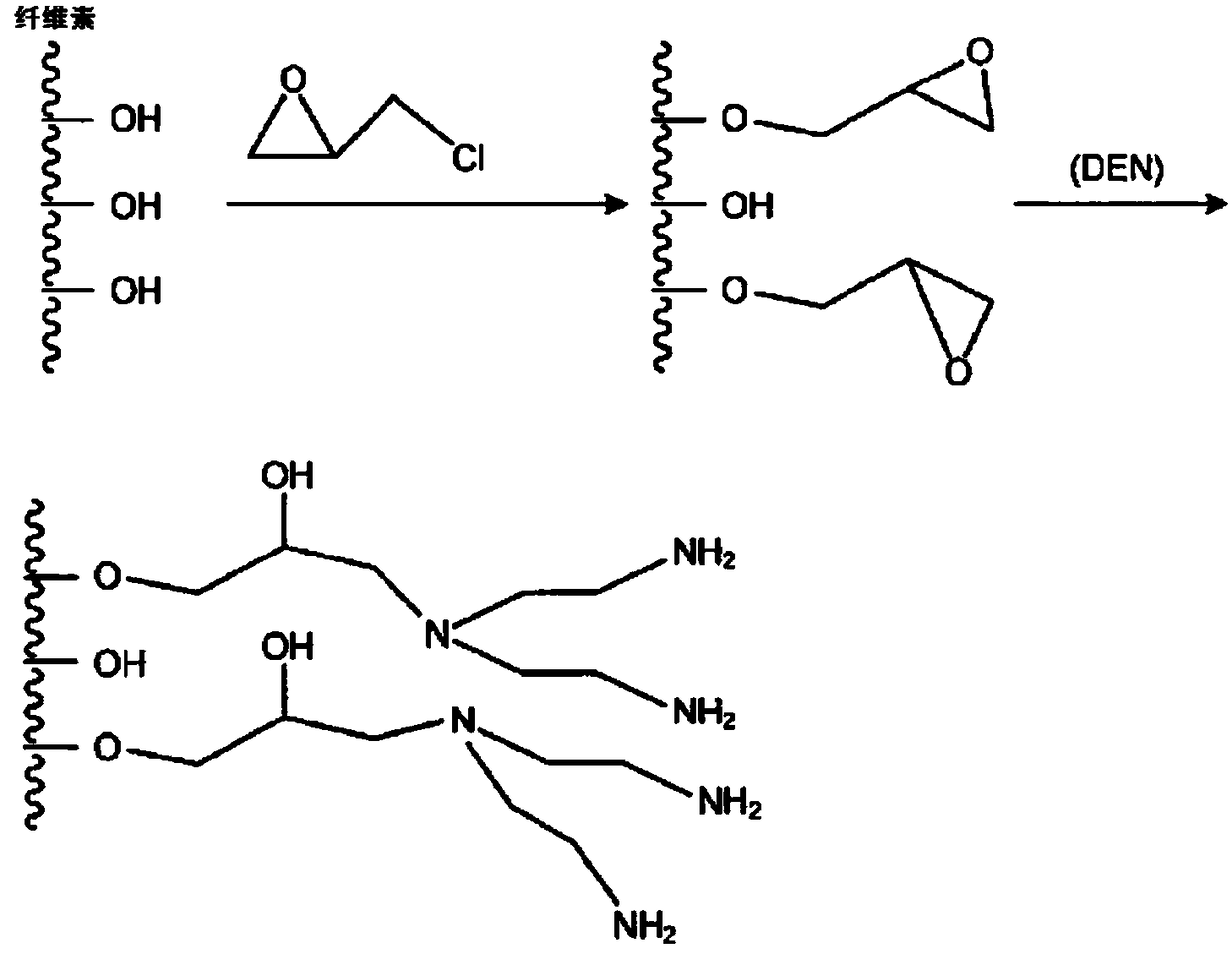 Biological fertilizer containing carbon enzyme citrate and preparation method thereof