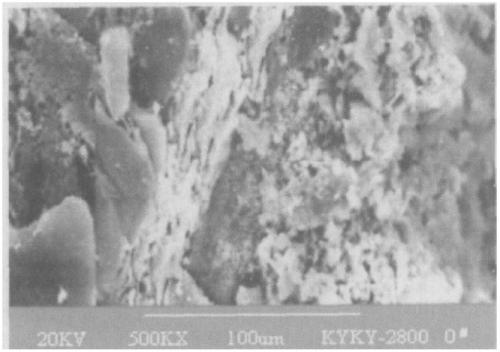 Biological fertilizer containing carbon enzyme citrate and preparation method thereof