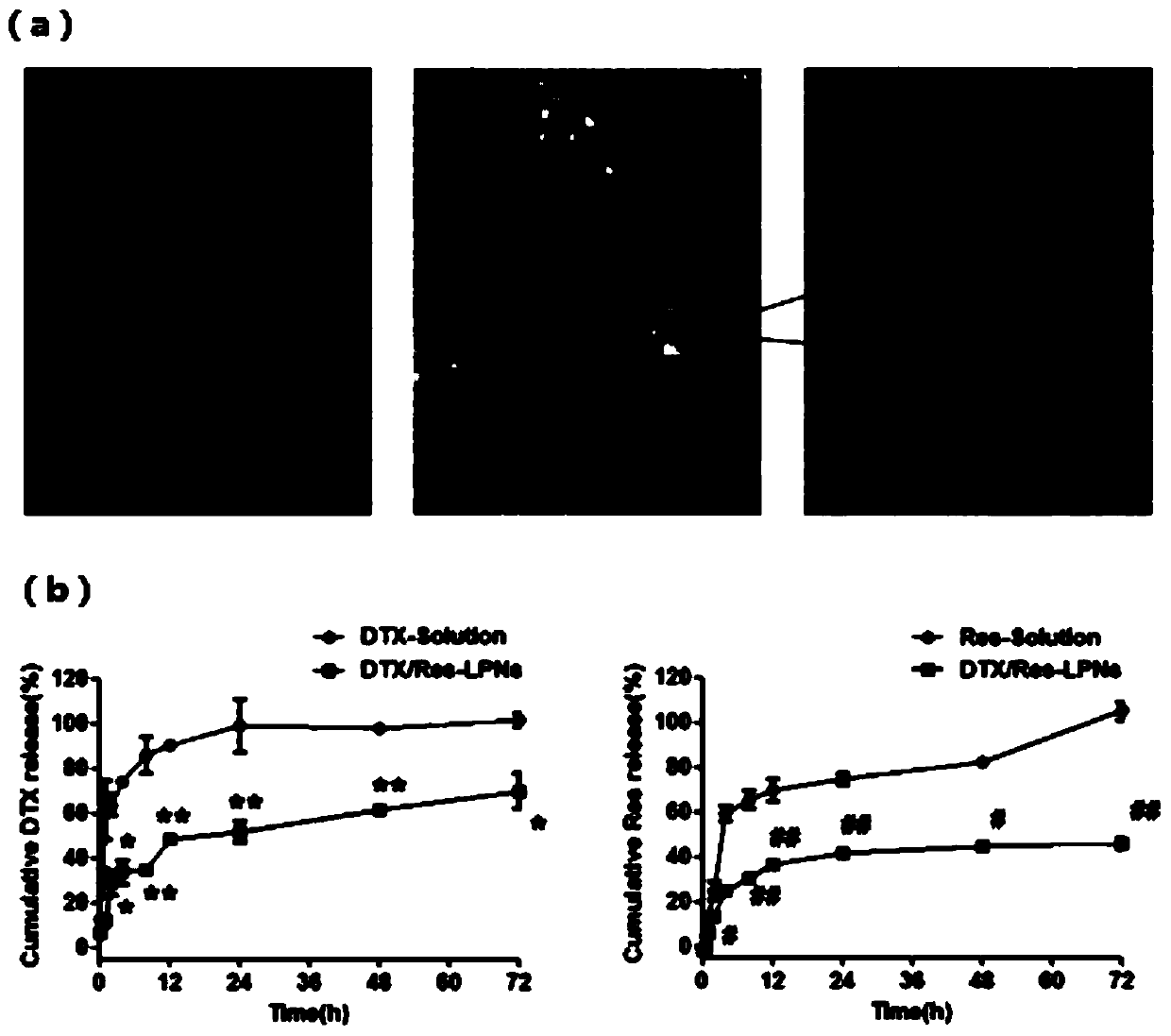 Docetaxel-resveratrol co-loaded nano long-circulating liposome as well as preparation method and application thereof