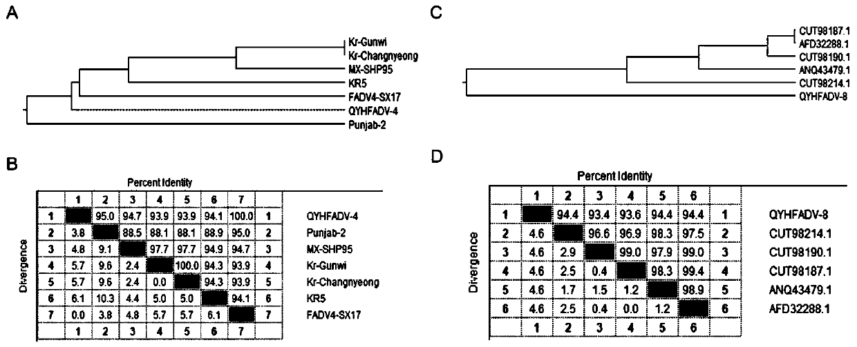 Group I serum type 4-serum type 8 avian adenovirus bivalent subunit vaccine and preparation method thereof