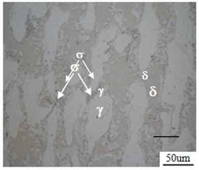 Thermal processing method to control the precipitation of σ phase in nodular ni-type duplex stainless steel at lower processing temperature