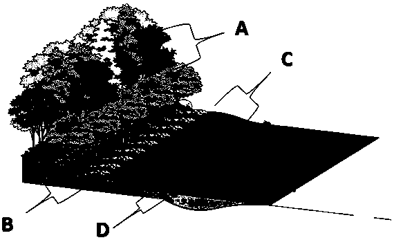 Construction method for near-natural reverse-osmosis biological wall in hydro-fluctuation belt of lake