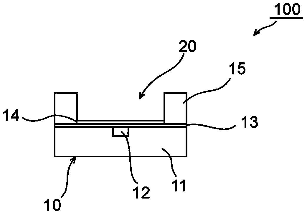 Spr sensor cell, and SPR sensor