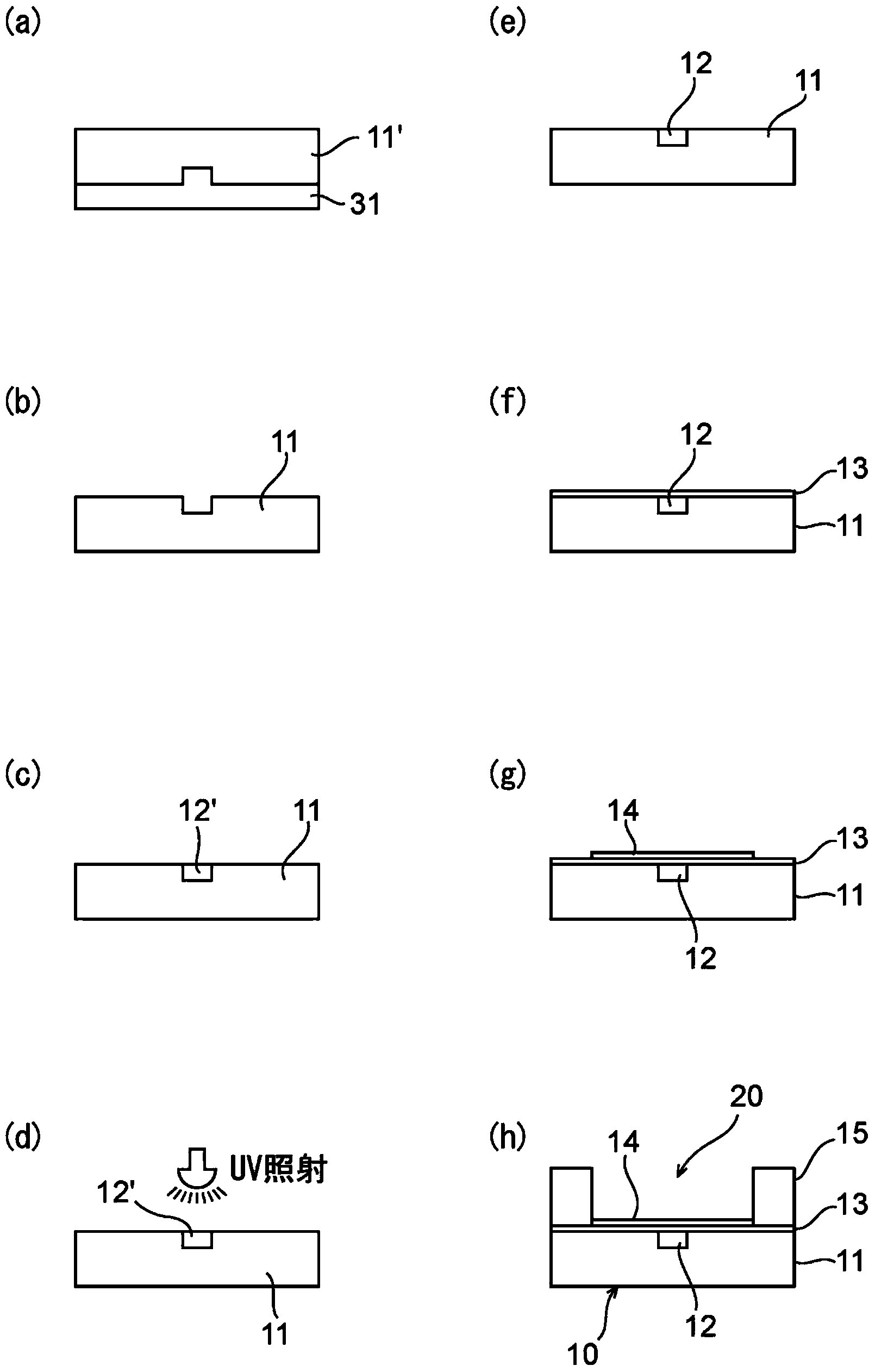 Spr sensor cell, and SPR sensor