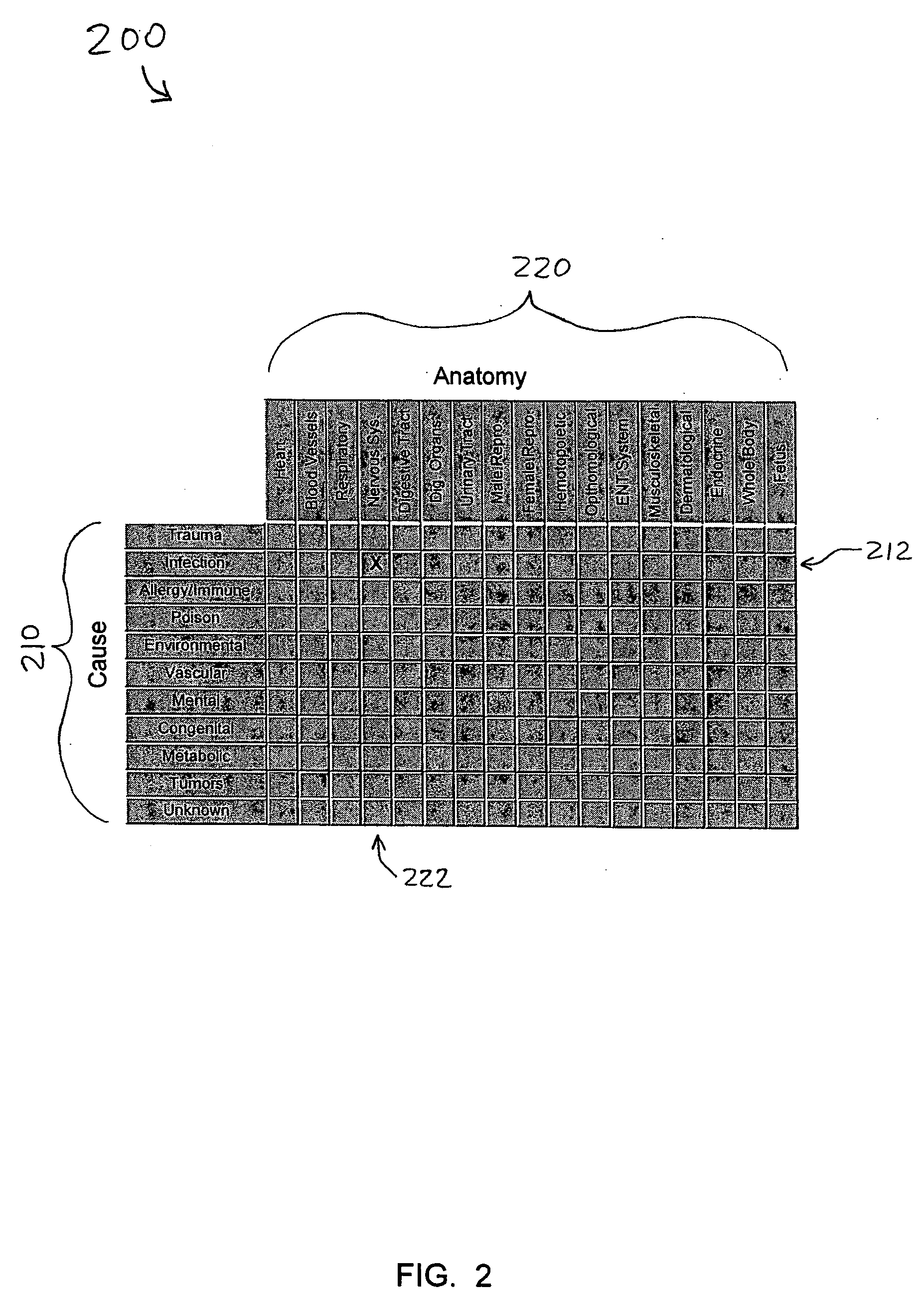 System and method for assisting medical diagnosis using an anatomic system and cause matrix