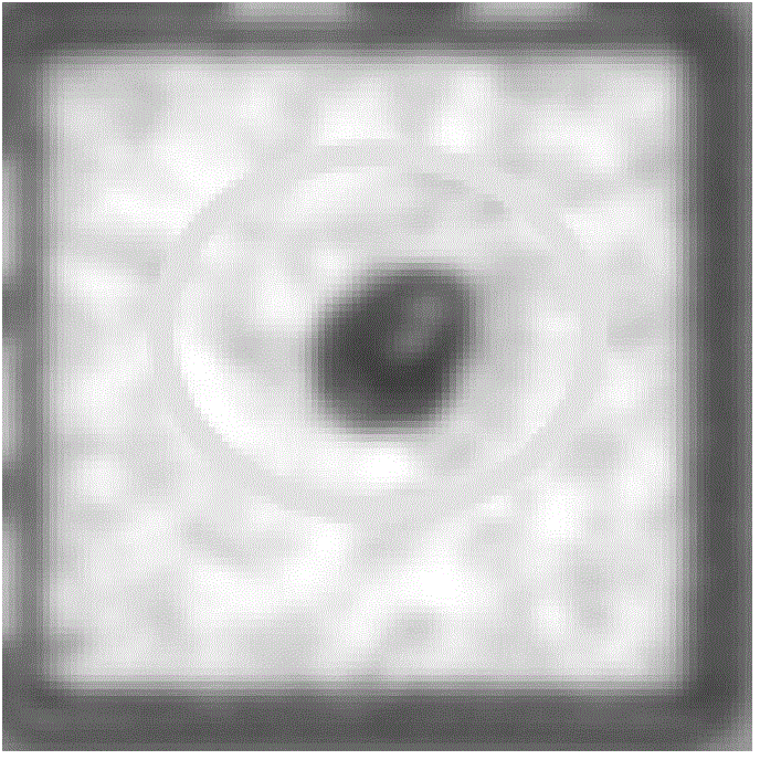 Probe clearing method of probe and probe