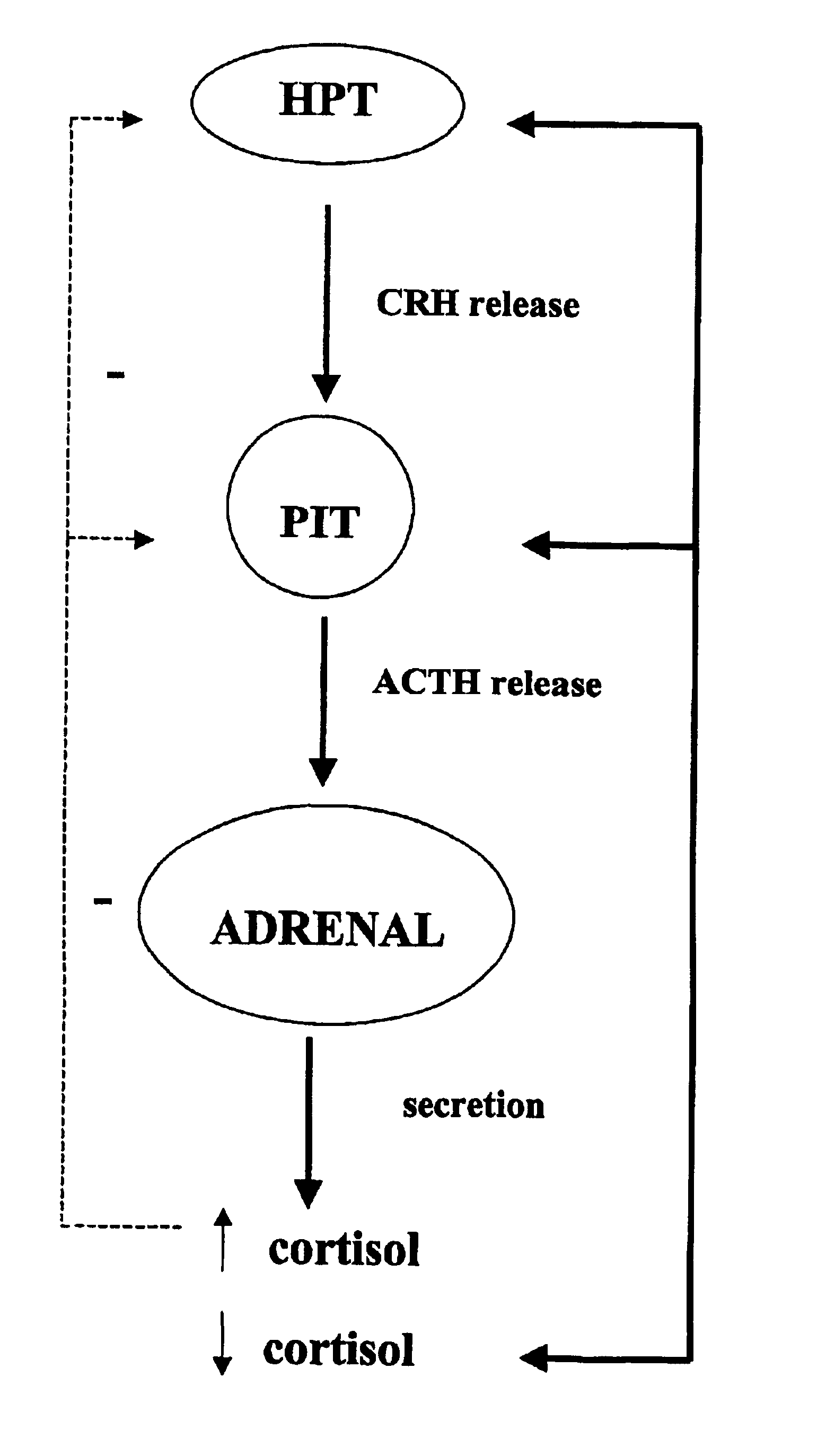 Method for the preparation of 21-hydroxy-6,19-oxidoprogesterone (21 oh-6op)