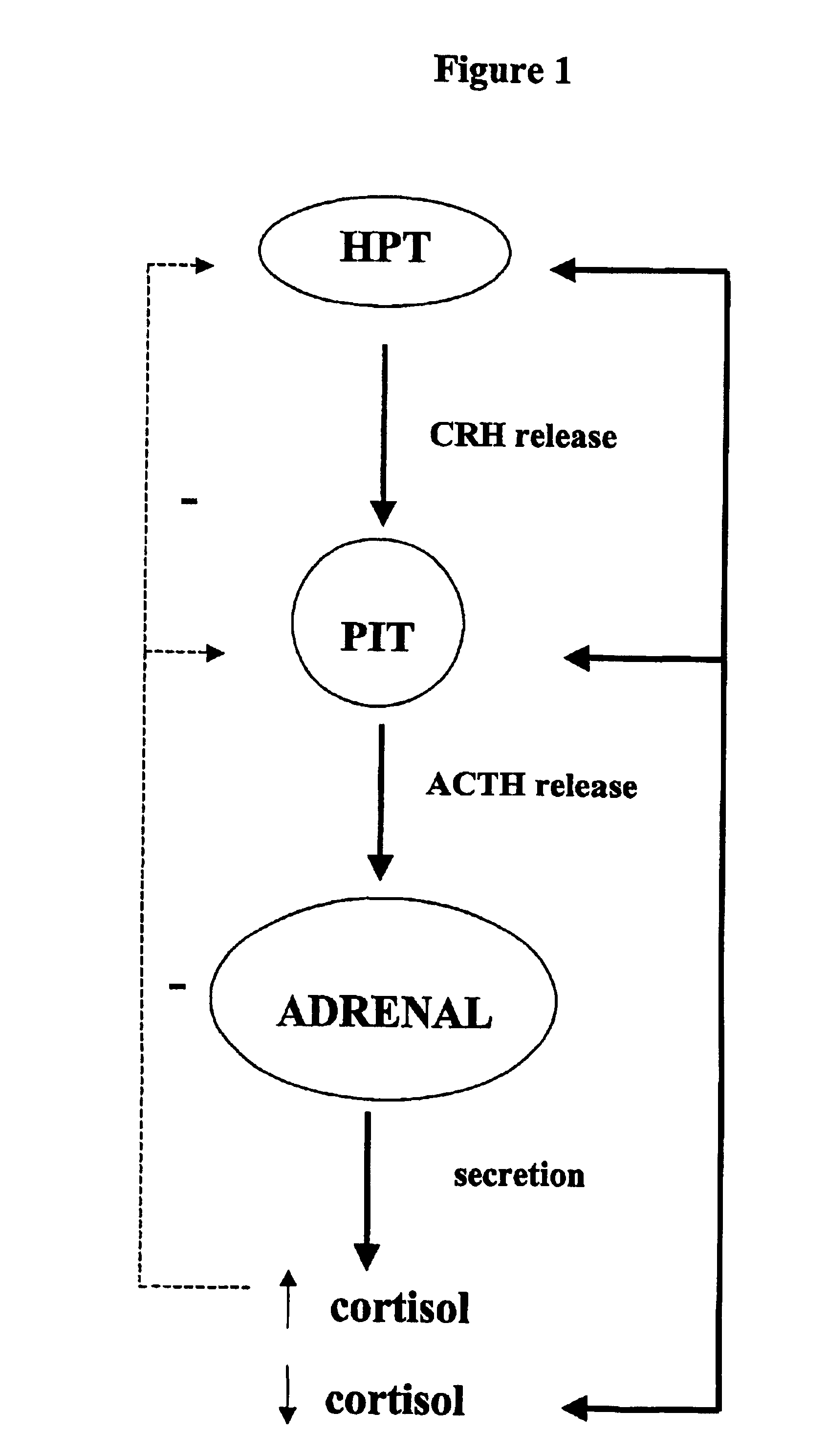 Method for the preparation of 21-hydroxy-6,19-oxidoprogesterone (21 oh-6op)