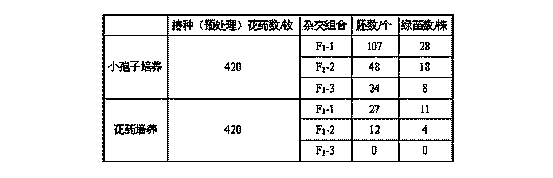 Method for rapidly obtaining pure line of hybrid wheat