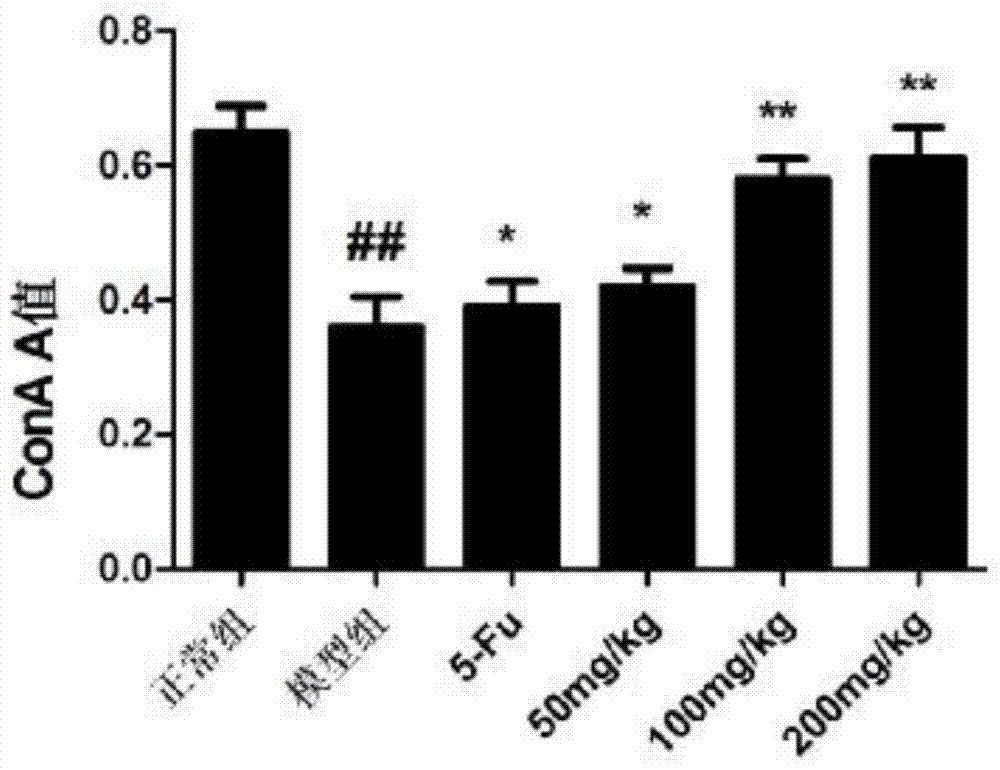 Application of phellinus igniarius serving as drug in treatment of tumors