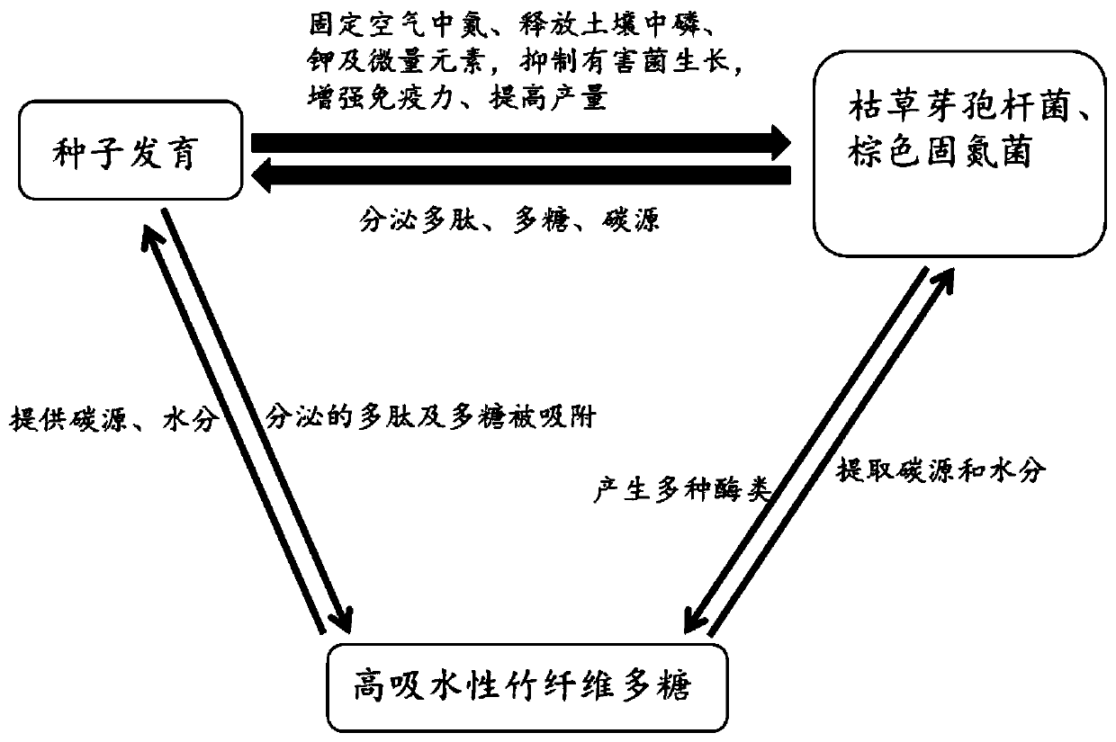 Desertification control capsule, contents of capsule and preparing method of contents