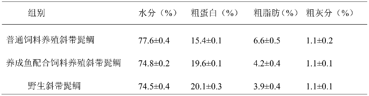 Whole-process compound feed, preparation method and application of nutritious and high-efficiency bearded seabream