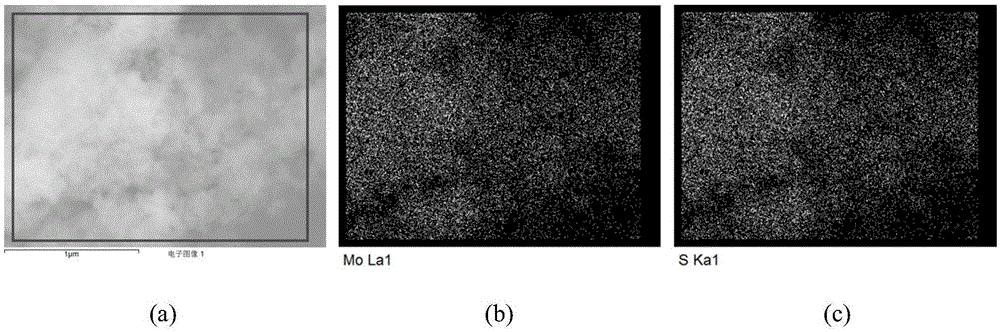 Platinum supported nitrogen-doped molybdenum disulfide photocatalyst and preparation method thereof