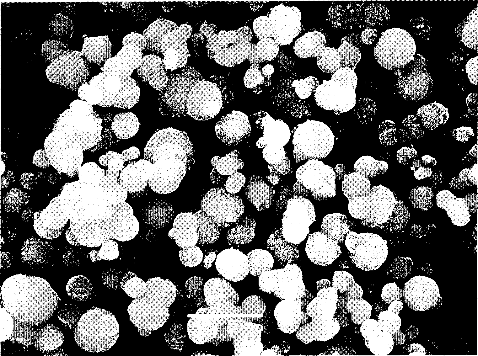 Method for preparing alumina powder for polishing solution