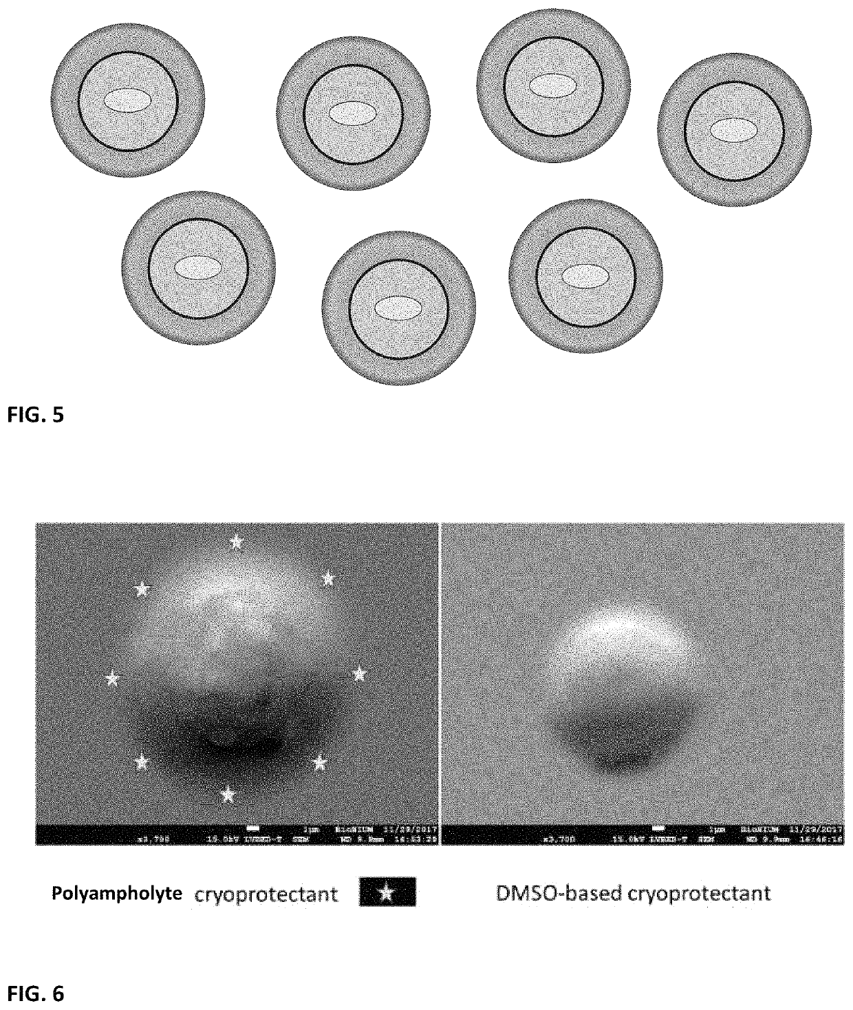 Biological composition in a protectant shroud and methods