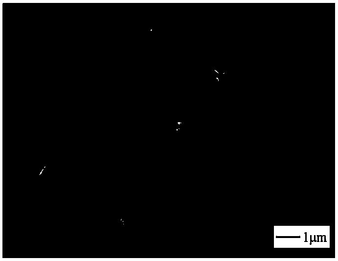 A kind of transition metal chalcogenide-carbonyl iron powder composite microwave absorber and preparation method thereof