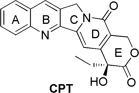 Fluorine-substituted e-ring camptothecin analogs and their use as medicines