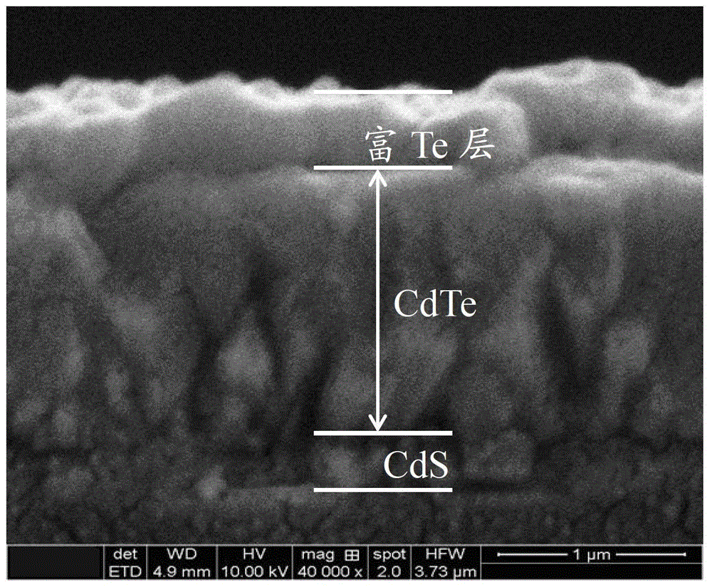 A kind of preparation method of cadmium telluride thin film solar cell