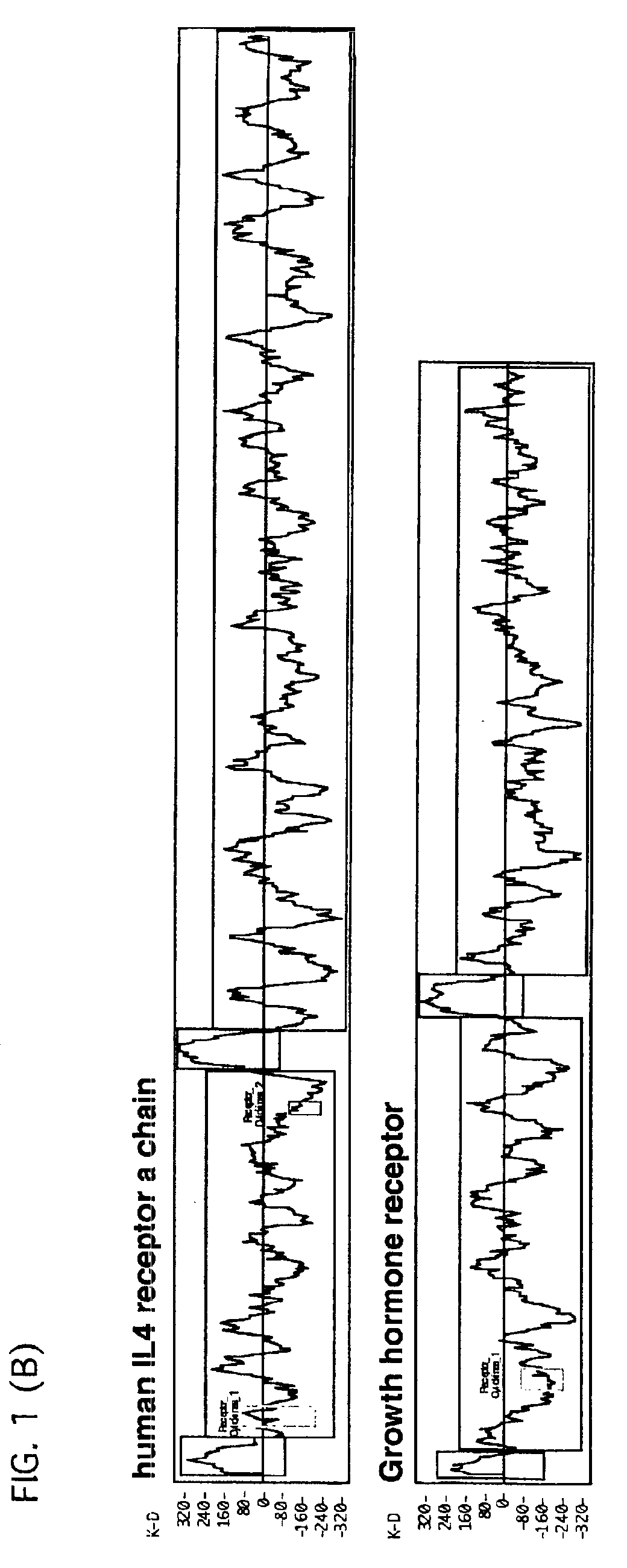 Human-derived bradeion proteins, DNA coding for the proteins, and uses thereof