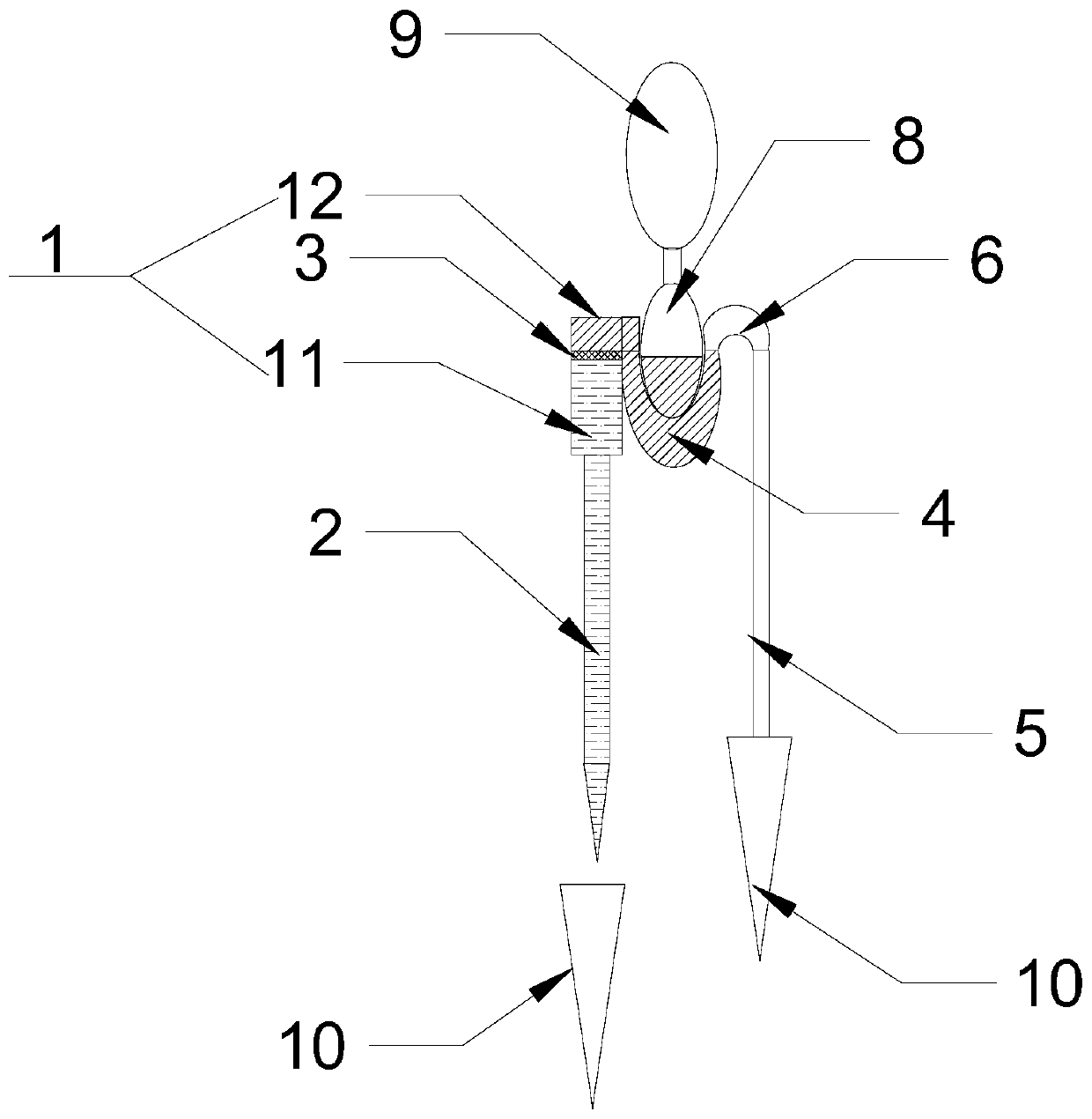 Quantitative sample injector for blood separation