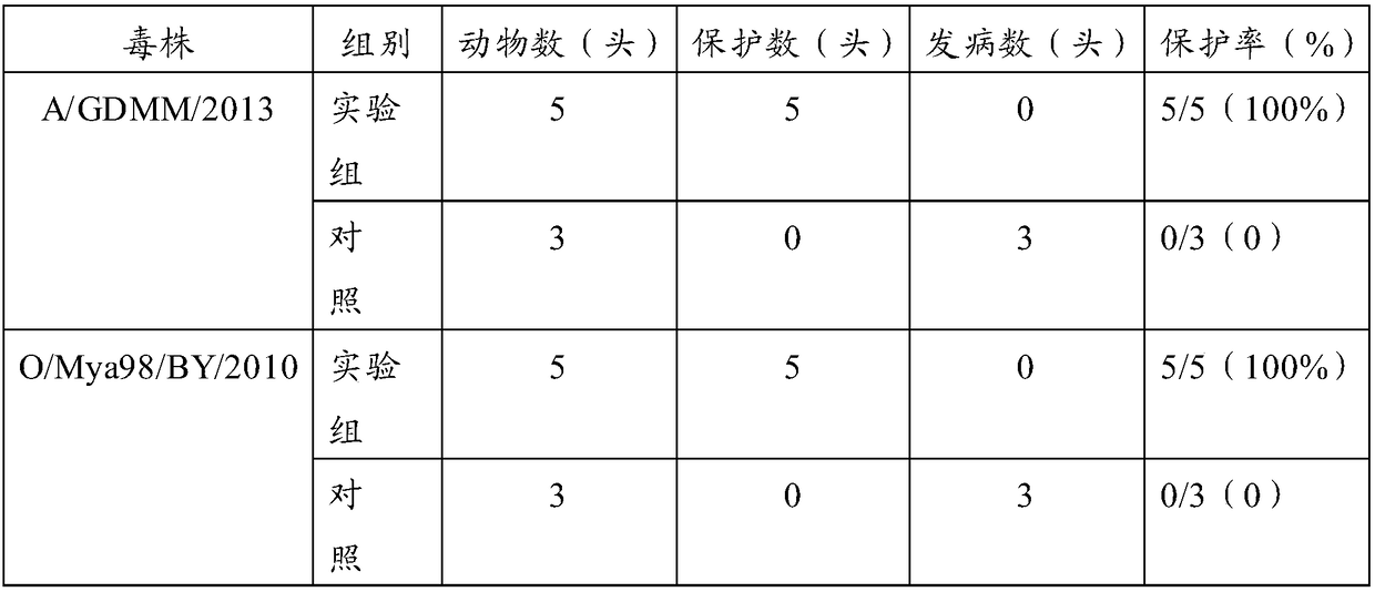 Pig foot-and-mouth disease virus O type and A type Fc polypeptide bivalent vaccine, as well as preparation method and application thereof