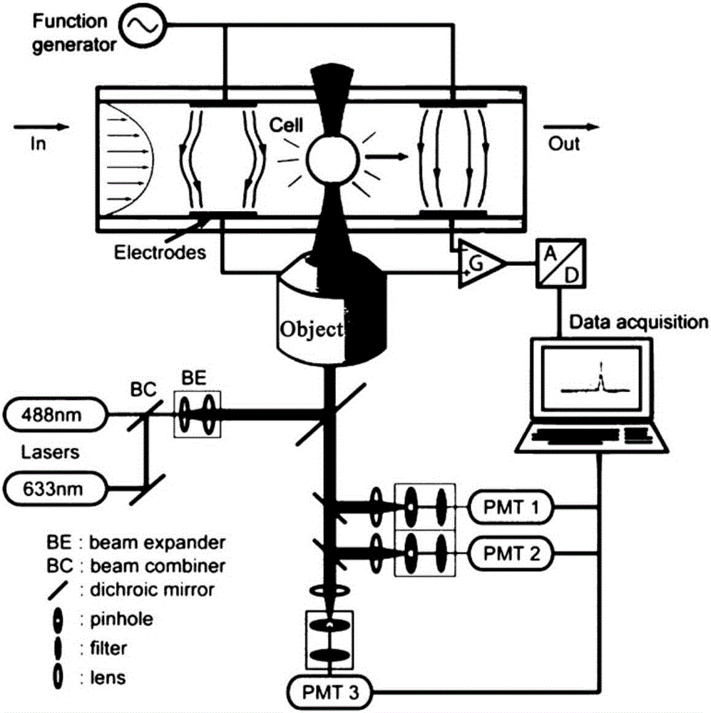 Small micro-fluidic chip system for biological particle parting analyzing