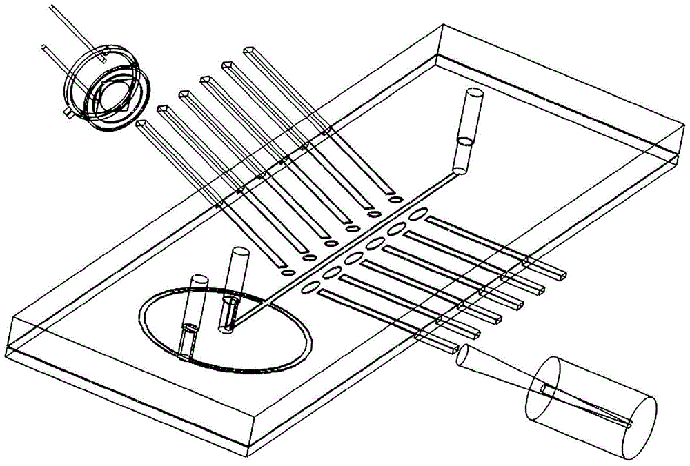 Small micro-fluidic chip system for biological particle parting analyzing