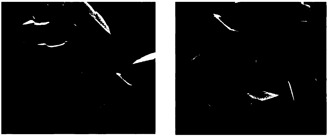 A kind of preparation method of large-grain iodide perovskite film